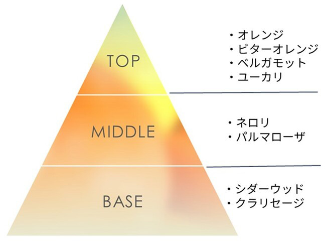 香りの特徴　図