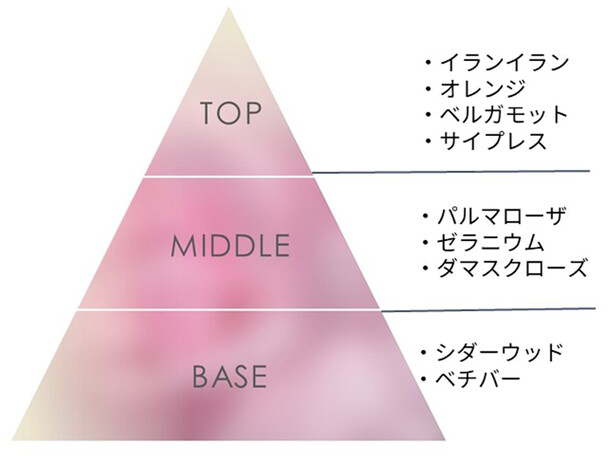 香りの特徴　図